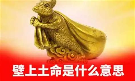 壁上土命|壁上土命代表什么意思